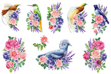 Obraz premium Watercolor bird and lavender flowers, roses, bellflowers on a white background, floral set. Tropical birds