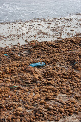 Fototapeta na wymiar Plastic trash in the sea. Mediterranean coast