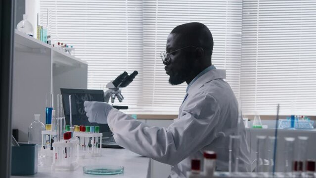 Side view of African American scientist sitting at his workplace and working with test tubes and computer in the lab