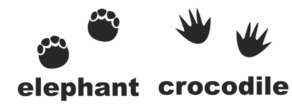 elepant and crocodile footprints isolated on white baground. vector