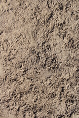 Sand texture. Beach sand texture