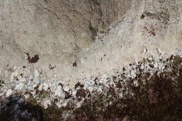 A fragment of rocks on the coast of the Mediterranean Sea. The stone texture with a seaweed on stone.