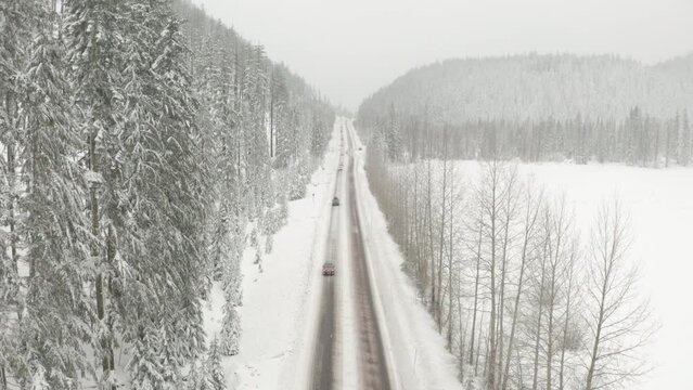 Aerial shot over straight road through snowy pine forest