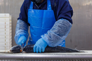 A fish factory worker cuts off the head of a salmon with a knife.