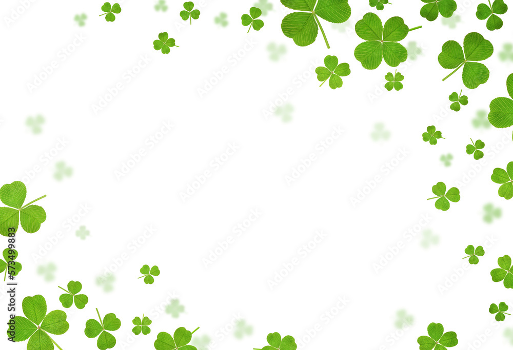 Fototapete clover leaves are scattered in the form of a frame on a white isolated background