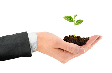 hand in a business suit holds a young sprout with soil on a white isolated background. business concept of financial growth and development