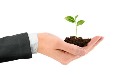 hand in a business suit holds a young sprout with soil on a white isolated background. business concept of financial growth and development