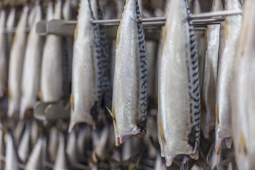 Obraz premium Closeup view of fresh mackerel ready for the process of smoking in the oven.