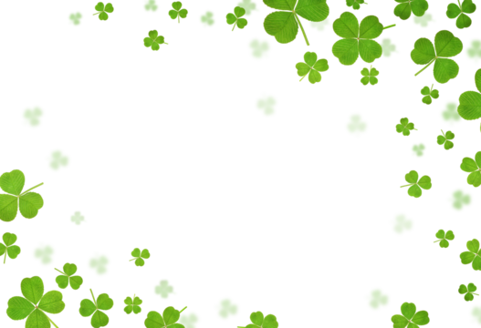 clover leaves are scattered in the form of a frame on a white isolated background