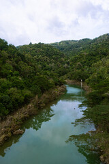 Fototapeta na wymiar Clean river in the tropical mountains. Portrait. Bitbit River, Bulacan, Philippines