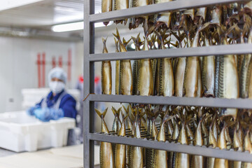 Closeup view of smoked mackerel in factory oven.