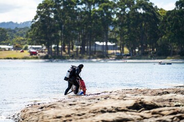 scuba diver, diving on the reef in a wetsuit collecting food