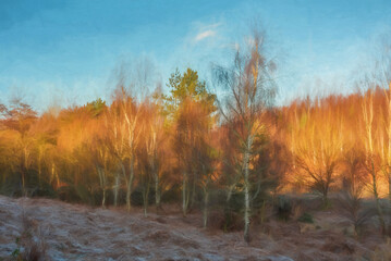 Fototapeta premium Digital painting of Cannock Chase, AONB in Staffordshire.