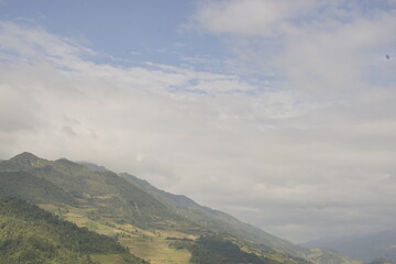 Obraz premium terrace , rice field in northern Vietnam is beautiful landscape