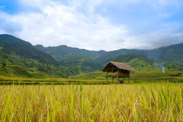 Fototapeta premium In agriculture, a terrace is a piece of sloped plane: northern of Vietnam