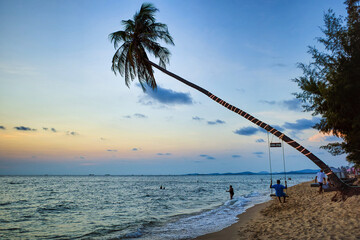 Phu Quoc island, Vietnam - March 30, 2019: Swing on a palm tree. Sea beach at sunset. Spa Romance