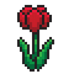 Red tulip flower pixel style isolated on white background