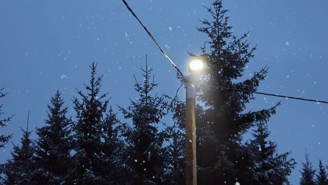 Outdoor lantern electric lamp post at night surrounded by pine trees during snowfall