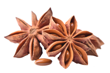 Star anise isolated on white background