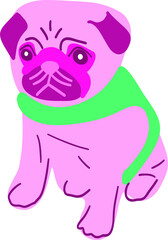 Pink pug