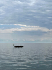 A small island on Lake Baikal with a lonely lopsided tree