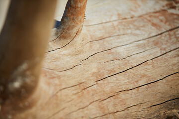 close-up of a driftwood trunk with cracks on a beach on Madagascar