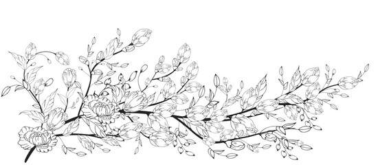 Obraz premium A beautiful blooming branch, richly decorated with flowers, buds, and leaves. Hand drawing.