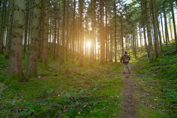 walking in the woods