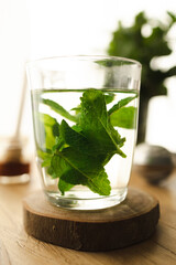 Tea with fresh mint leaves. Mint infusion helps with digestive problems
