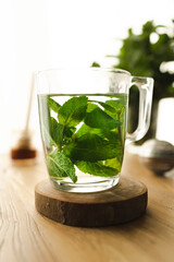 Tea with fresh mint leaves. Mint infusion helps with digestive problems