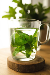Tea with fresh mint leaves. Mint infusion helps with digestive problems