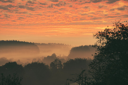 Sunrise over a misty forest. Dawn in fairy forest with dramatic glowing sky © Martin