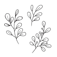Vector leaves doodle hand drawn illustration. Leaf branch for ornament wreath and art