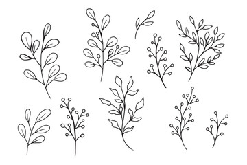 Vector leaves doodle hand drawn illustration. Leaf branch for ornament wreath and art