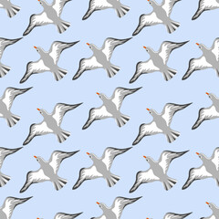 Seamless pattern with hand drawn flying seagulls. Seabirds. Concept of sea and ocean life. Modern print for fabric, textiles, wrapping paper. Vector illustration