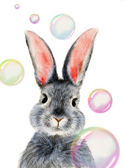 Watercolor illustration of a cute fluffy grey rabbit with pink ears in a blank background with colorful soap bubble