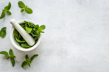 Aroma herbs for medicine and cooking. Mint leaves in mortar