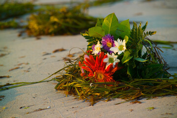 Flowers on a beach