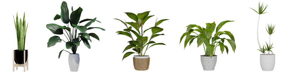 plant in pot, isolated on white, photoreal 3d render