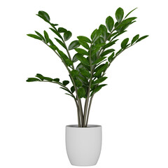 plant in pot, isolated on white, photoreal 3d render