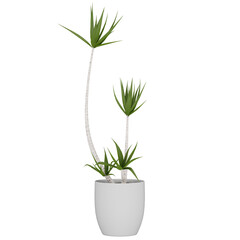 plant in pot, isolated on white, photoreal 3d render