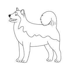 Husky dog, vector outline illustration in cartoon style isolateted on white background
