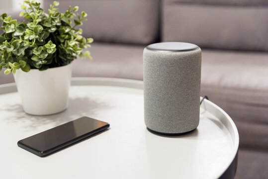 Smart speaker device in living room. Smart home.