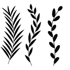 Set of black tropical leaves