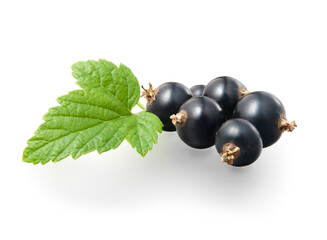 Mehrere_Johannisbeeren_Mit_Blatt_02