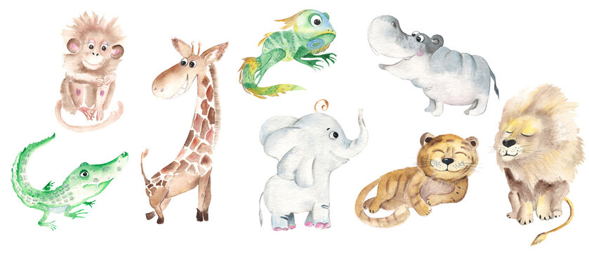 Safari animals for kids. Big set. Cute african animals isolated on white background. Watercolor hand drawn illustration.