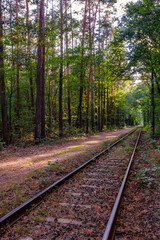 Railway tracks view. Railway rails and embankment surrounded by forest. Railroad