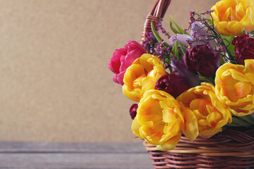 Yellow and purple tulips in a basket. Floral card, holiday banner.