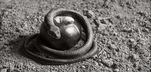 A snake wrapped around an apple as a symbol of temptation