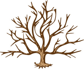 Tree png graphic clipart design